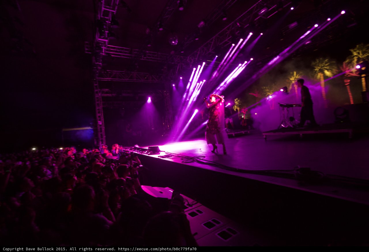 Purple Spotlight Performance