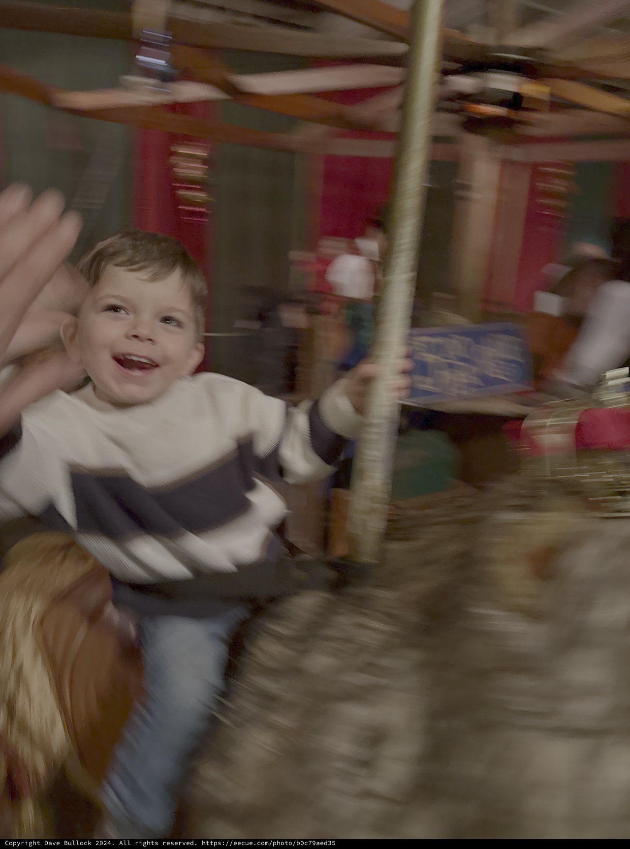 Child's Joyful Carousel Ride Adventure
