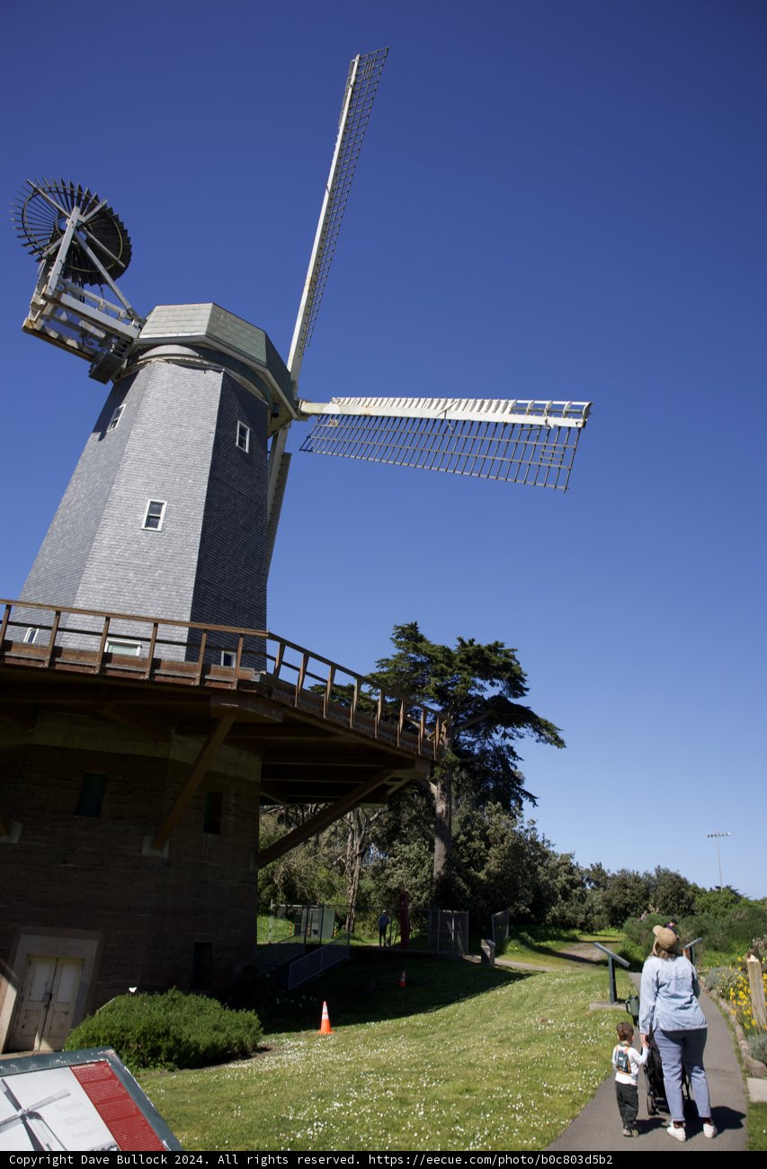 Windmill Watchers at Golden Gate Park