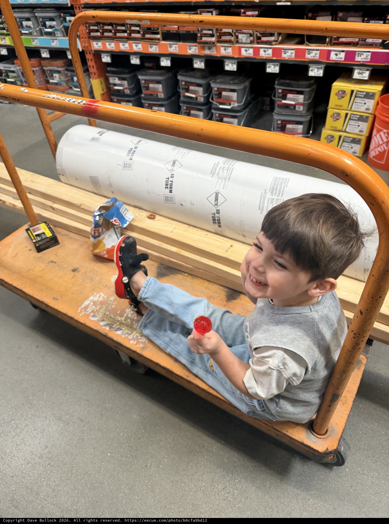 Young Child Playing in Hardware Store Shopping Cart