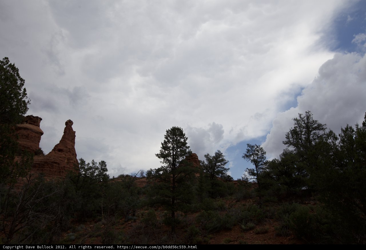 Majesty of Nature