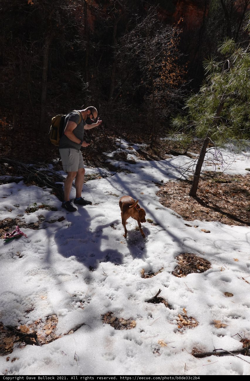 A Snowy Adventure with a Furry Companion