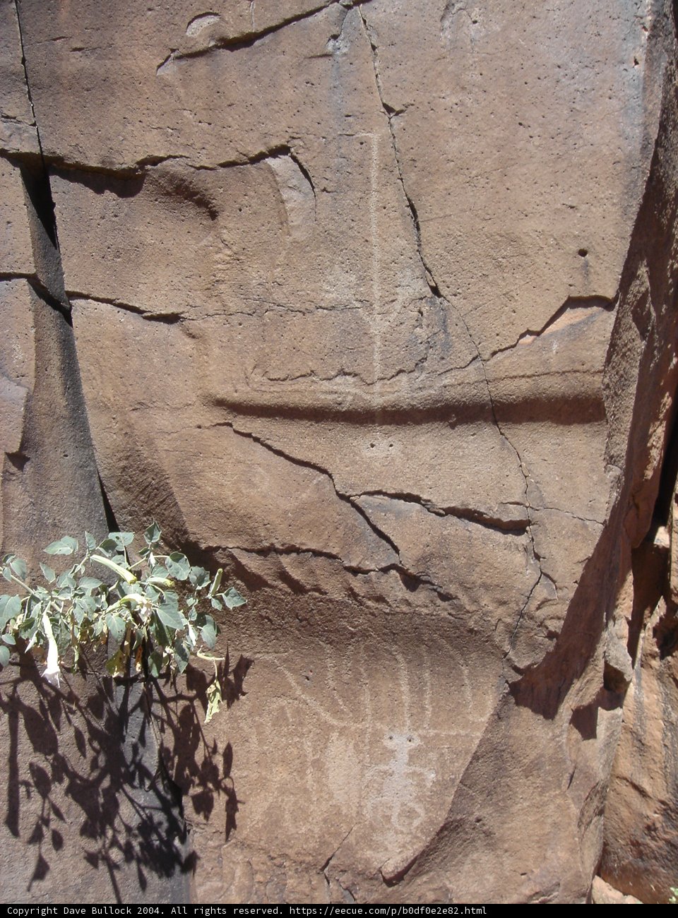 A Tree Disrupting the Rock's Sturdiness