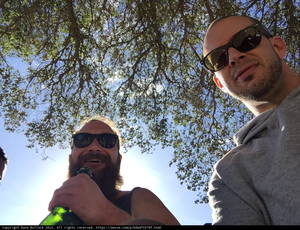 Under the Tree with Beers and Shades