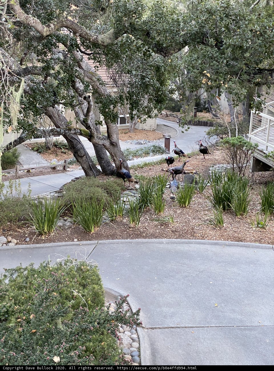 A Serene Moment in the Park