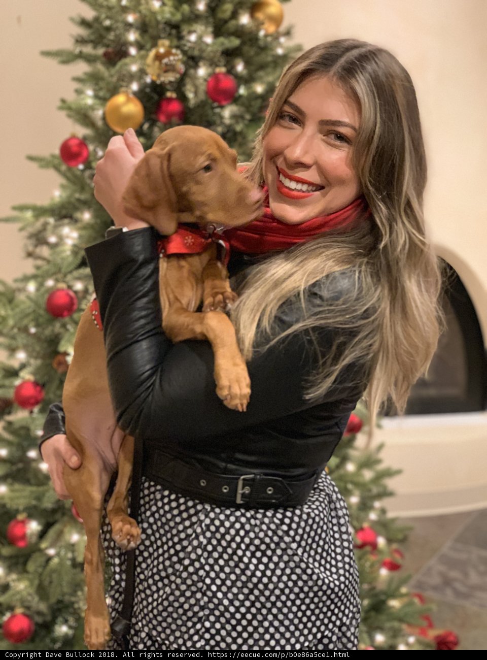 Christmas Cuddles