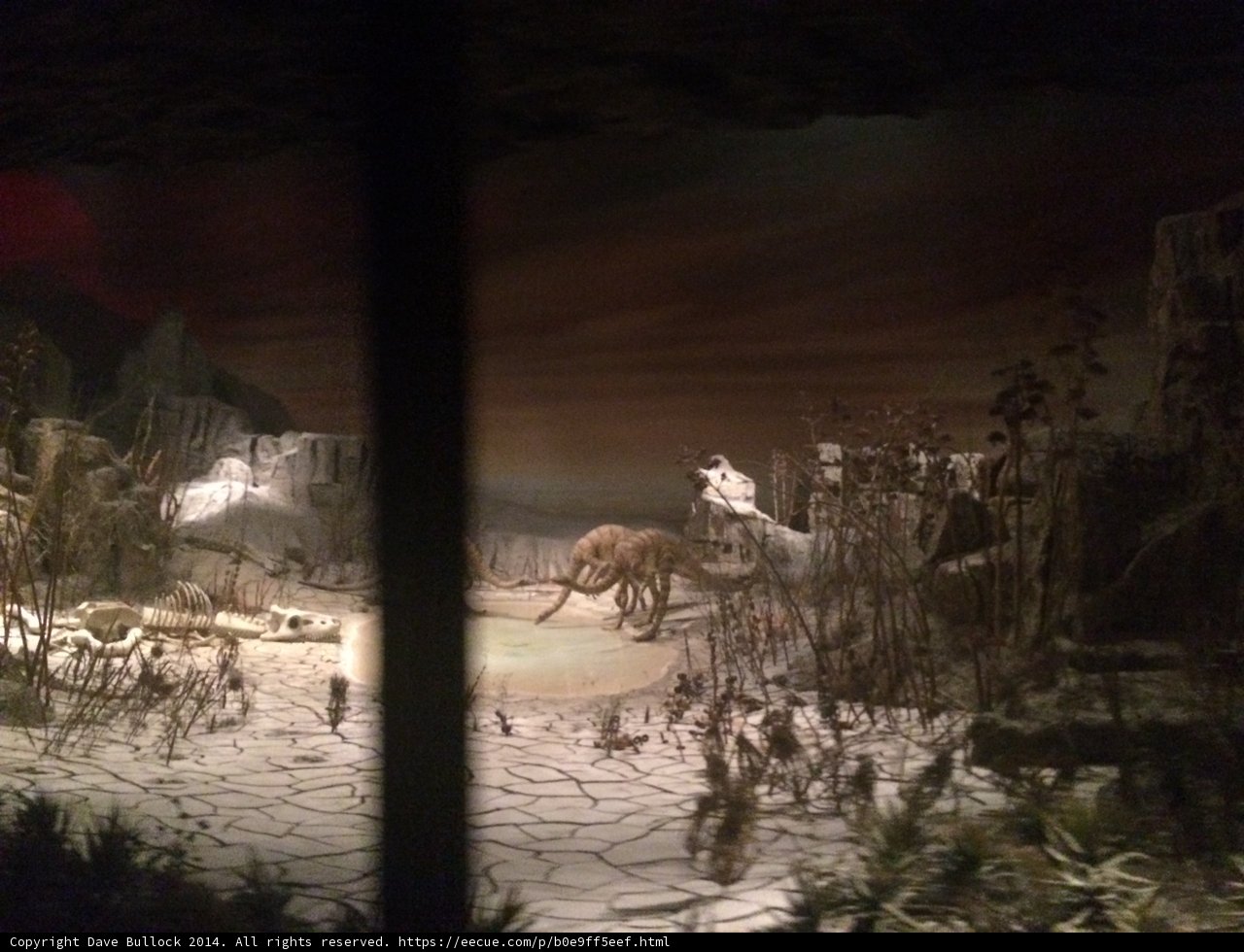Prehistoric Path at the Museum