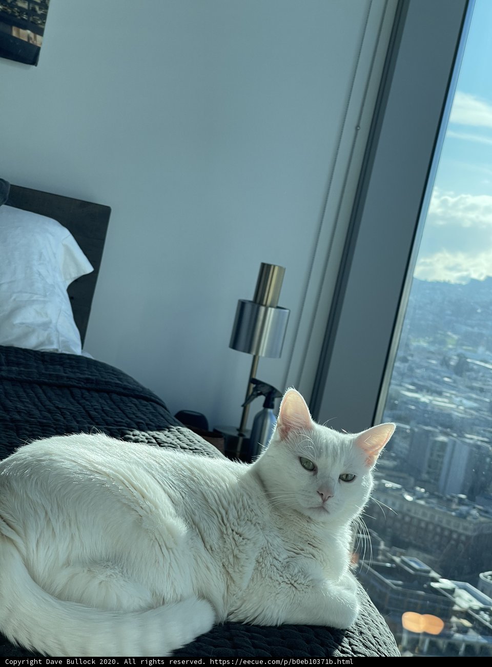 Cozy day in San Francisco