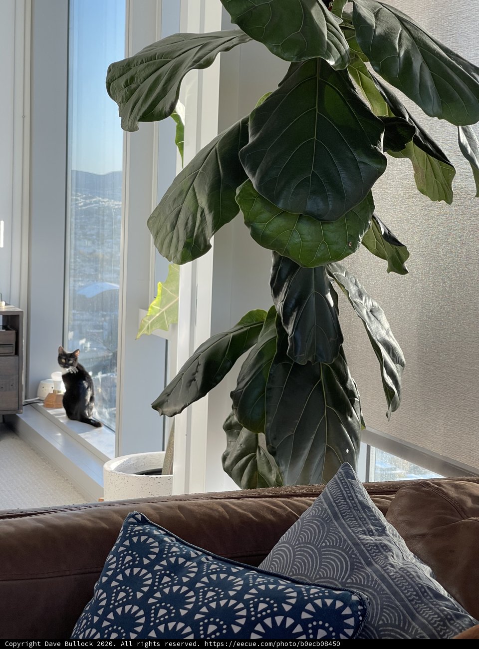 Home Decor with a Hint of Nature