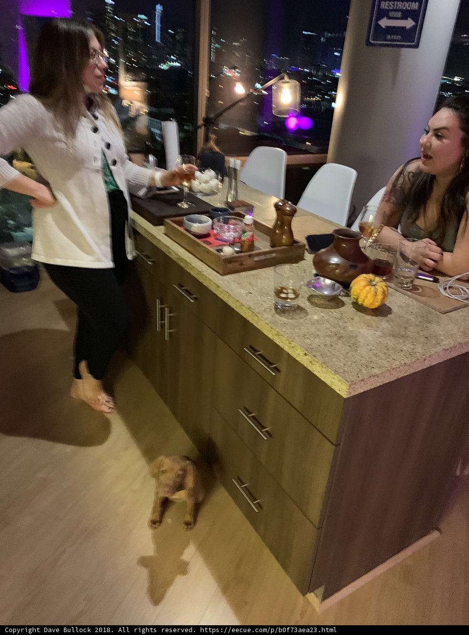 Home Cooking with a Furry Friend