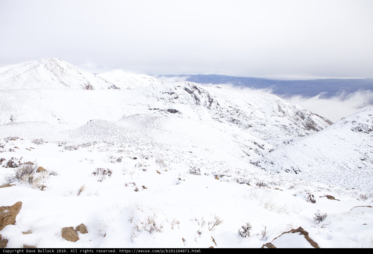 Majestic Winter Wonderland