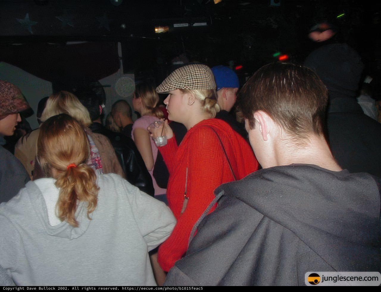 Nightclub Crowd