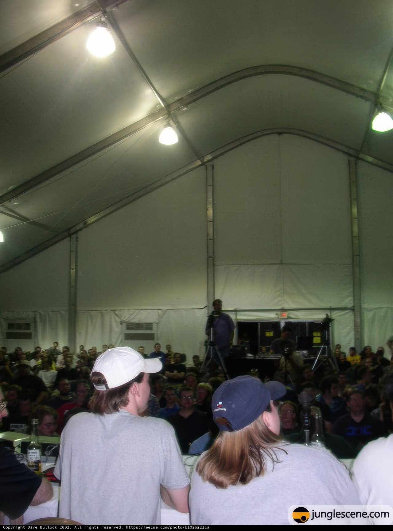 Crowd Gathering for Concert