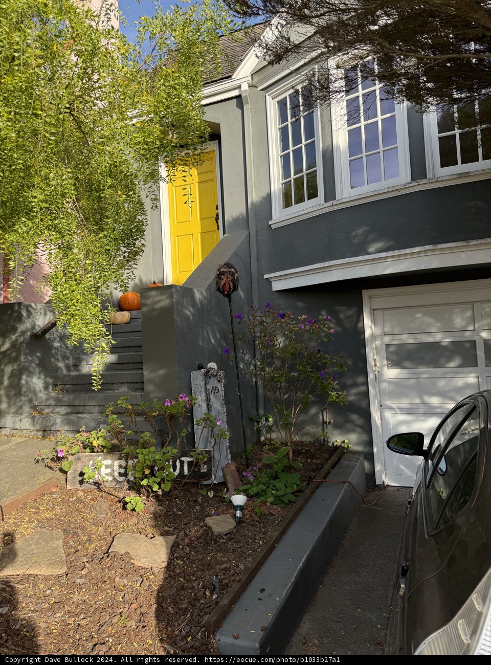 A Touch of Color in San Francisco