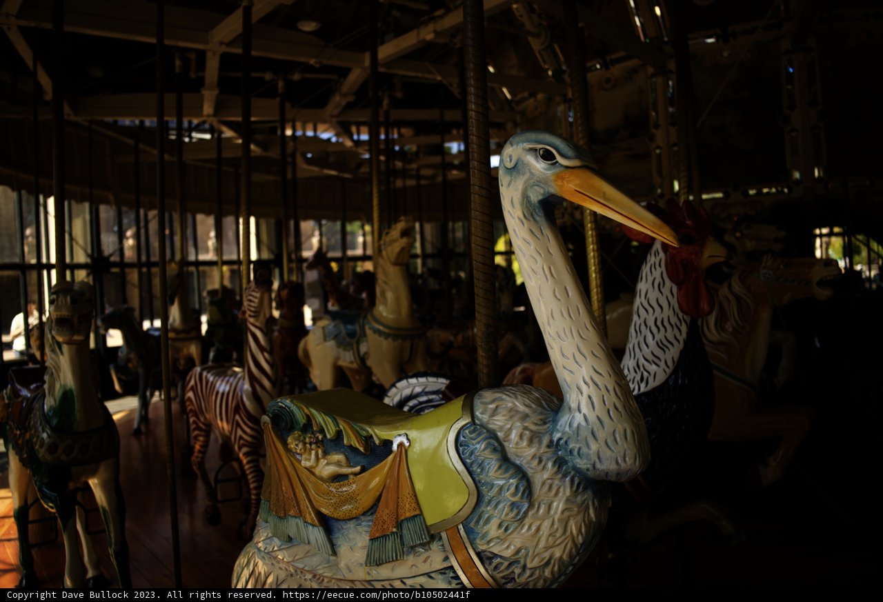 A Whimsical Ride at Golden Gate Park Carousel