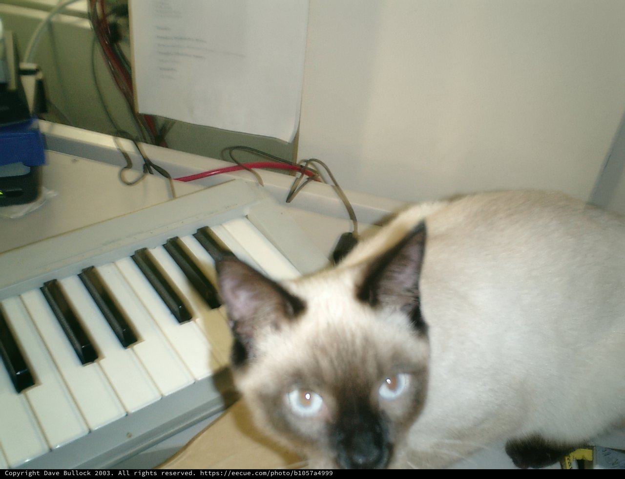 Keyboard Accompaniment