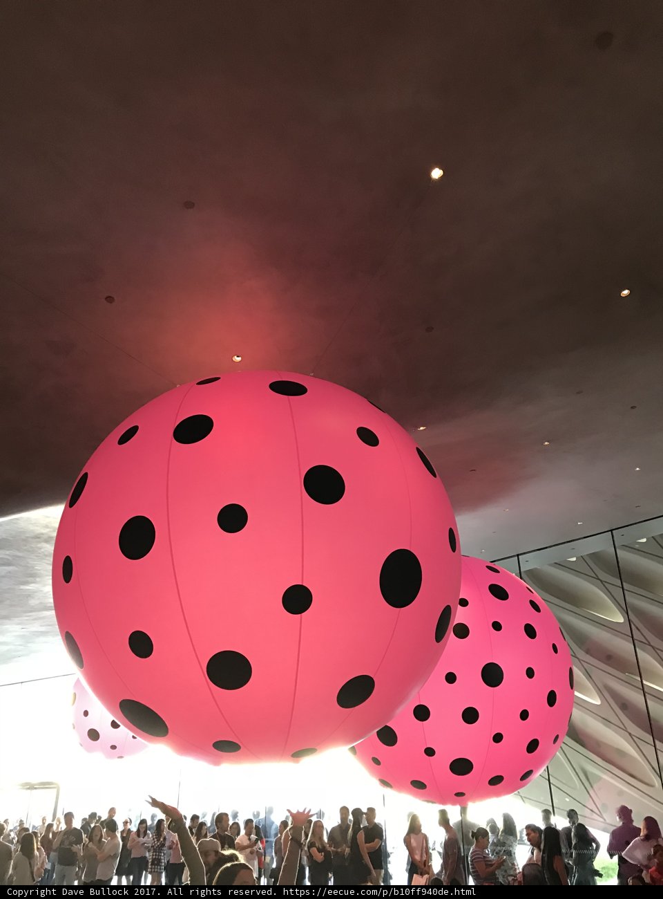 Polka Dot Balloon in The Broad