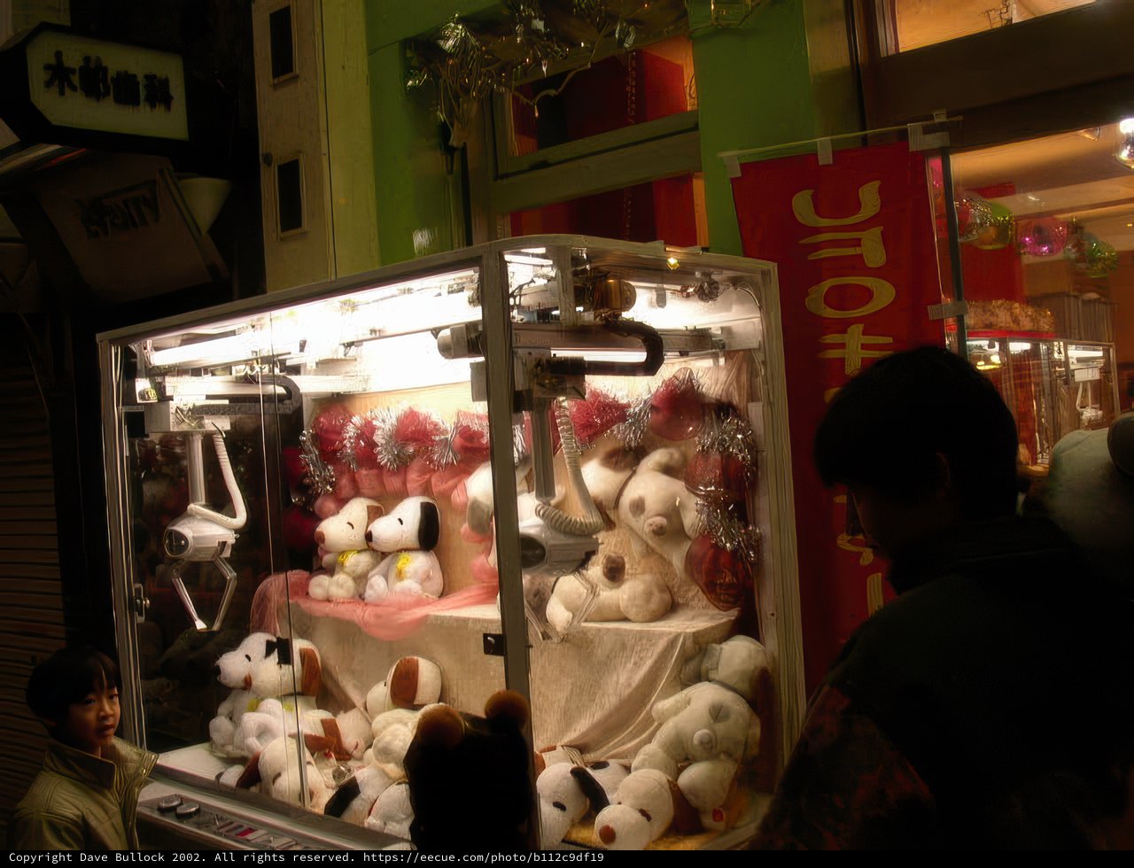 The Teddy Bear Man