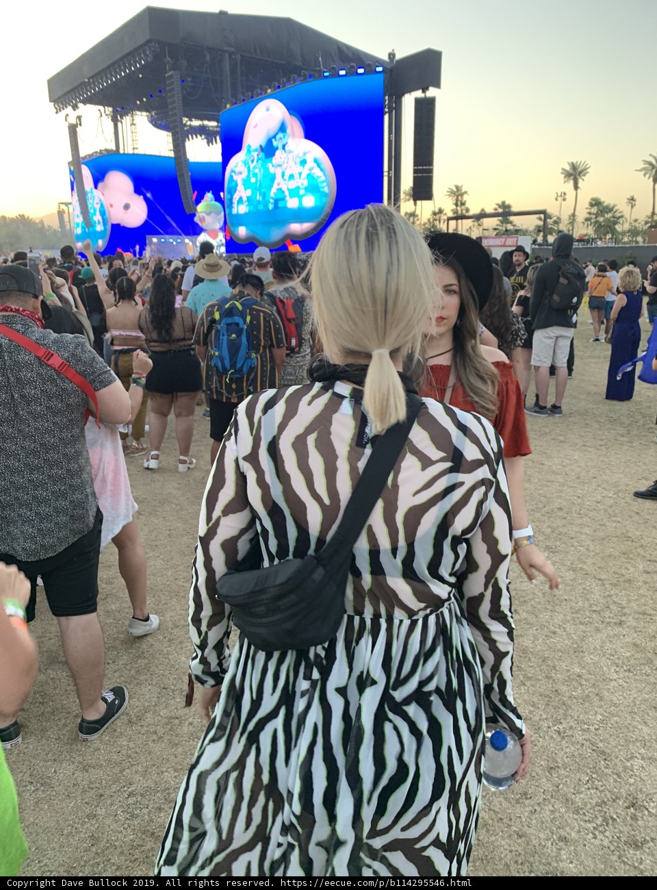 Zebra Stripes in the Desert