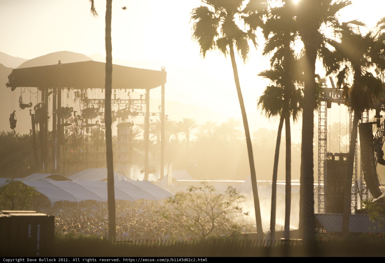Palm Tree Stage