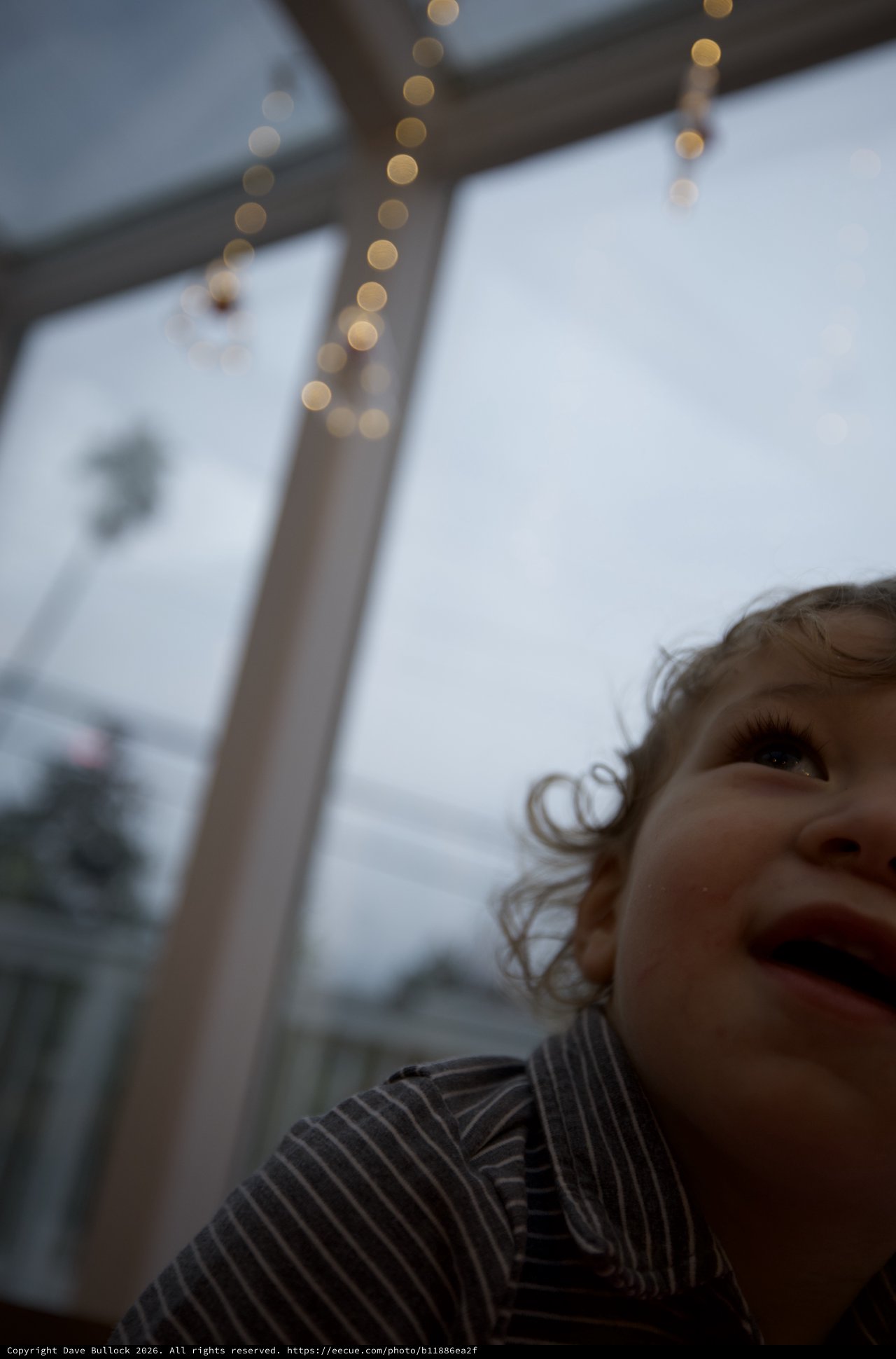 Child's Wonder: Looking Up at Holiday Lights