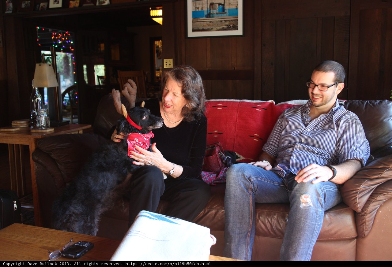 Cozy living room with Rhoda and Dave B and their furry friend
