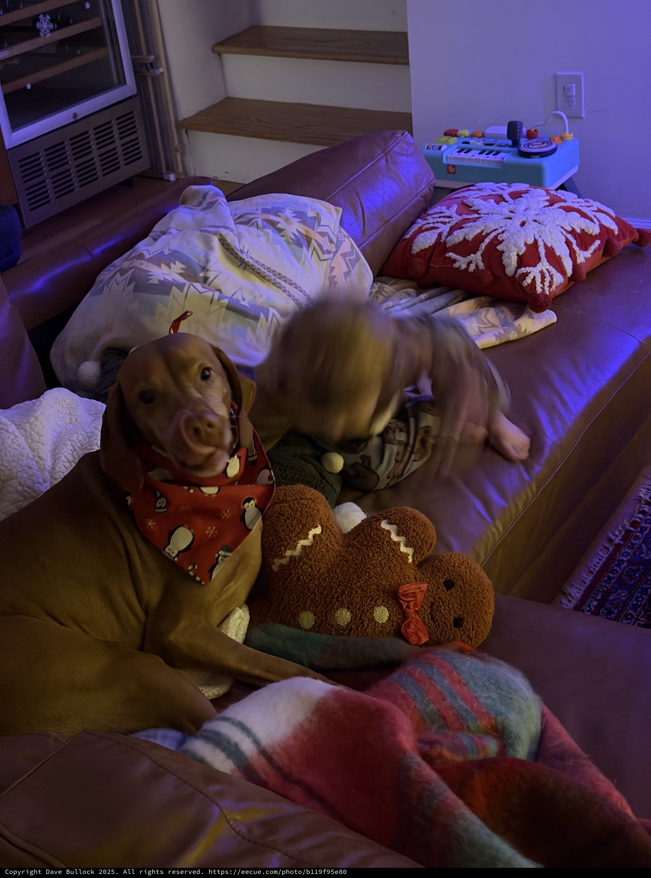 Golden Retriever's Cozy Nighttime Nest with Stuffed Animals