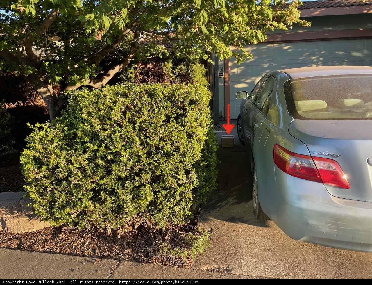 Parked Car by the Hedge
