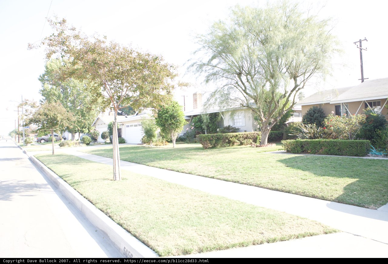 A Walkway in the Suburbs