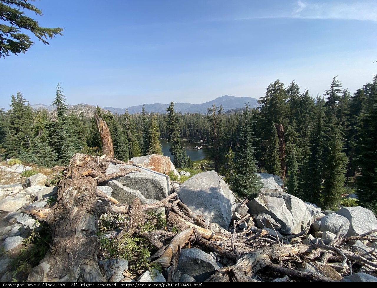 Majestic View of the Evergreen Mountains and Trees
