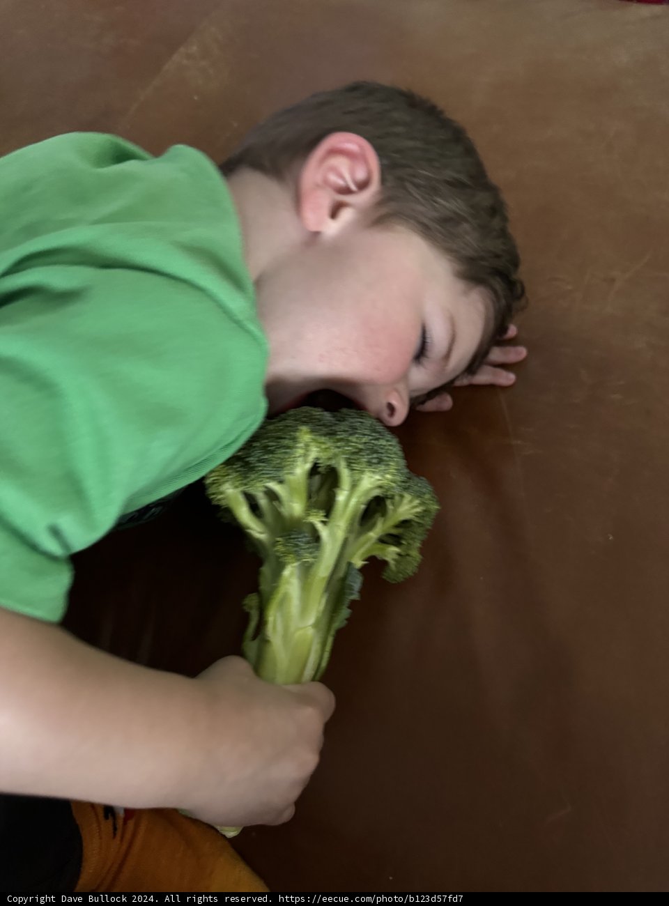Broccoli Bliss