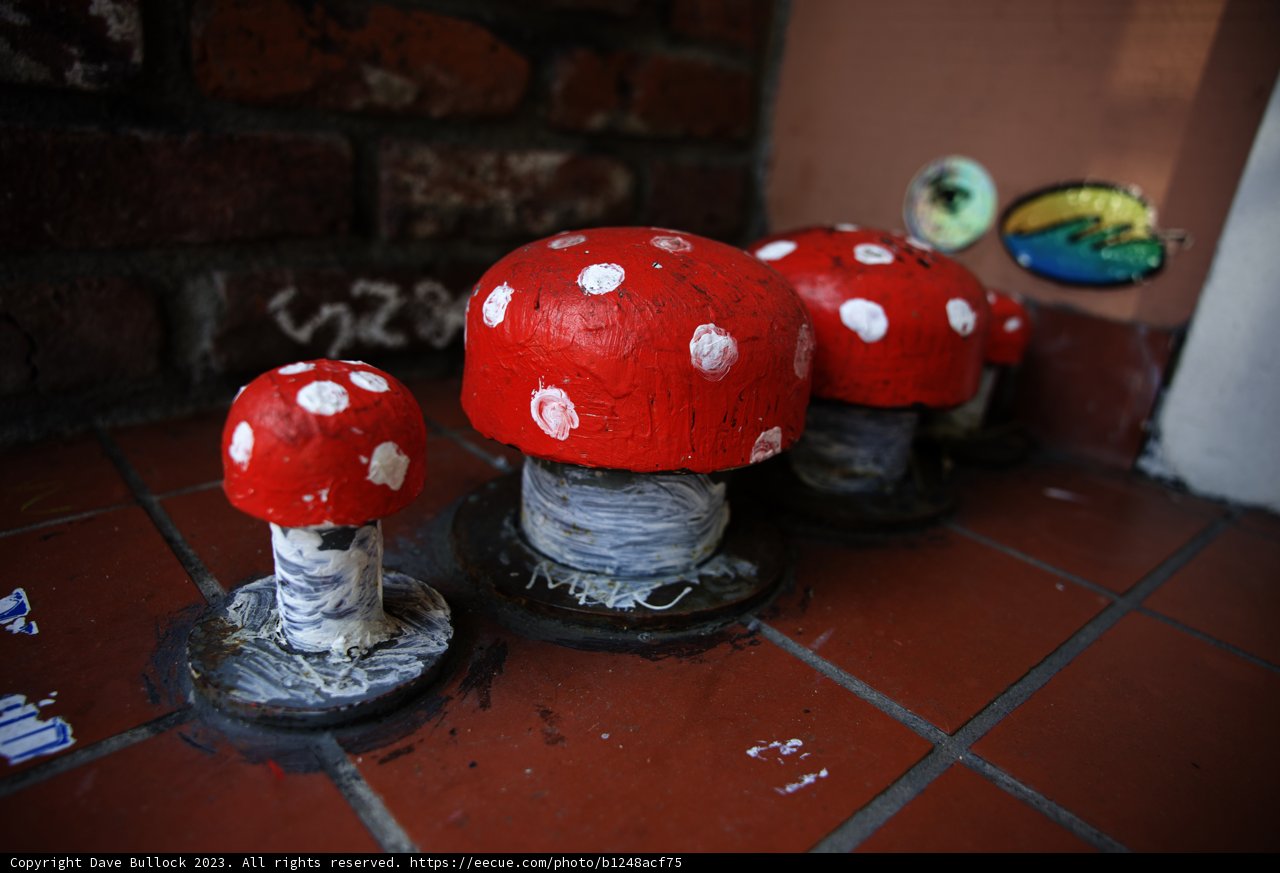 Magical Mushroom Mural