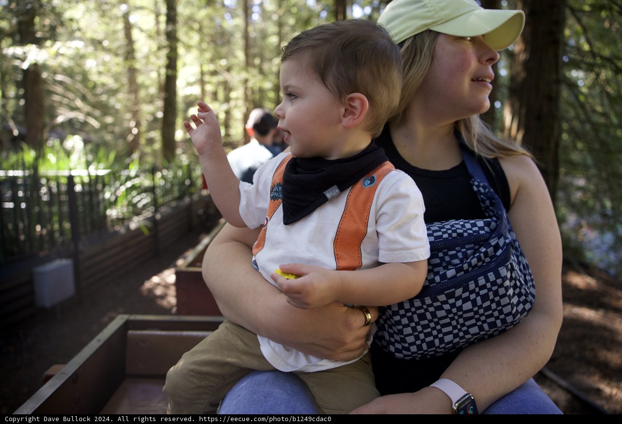 Joyful Adventures in Tilden Park