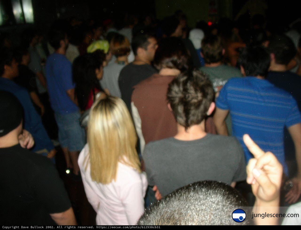 Pointing out the Crowd