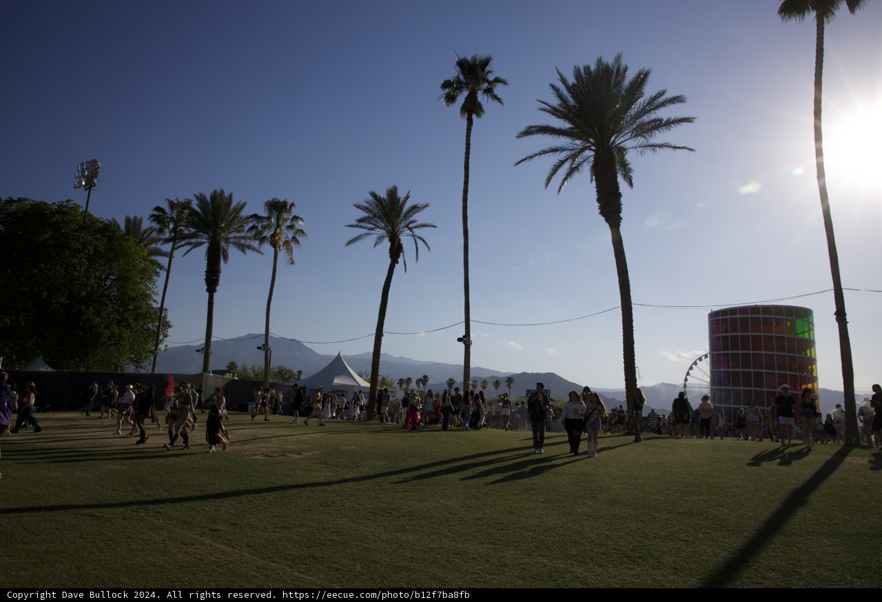 Sunny Serenity at Coachella 2024