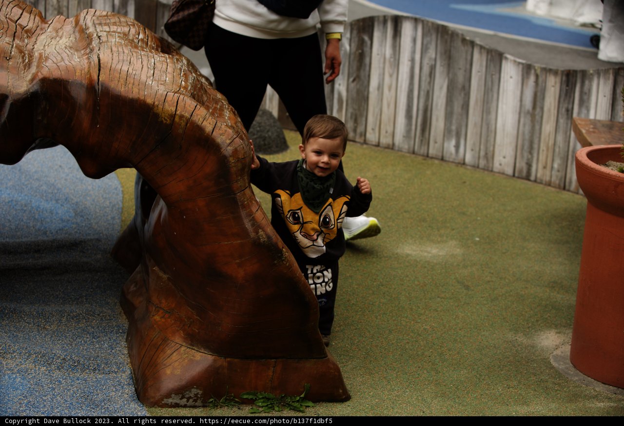 A Day of Play at San Francisco Zoo