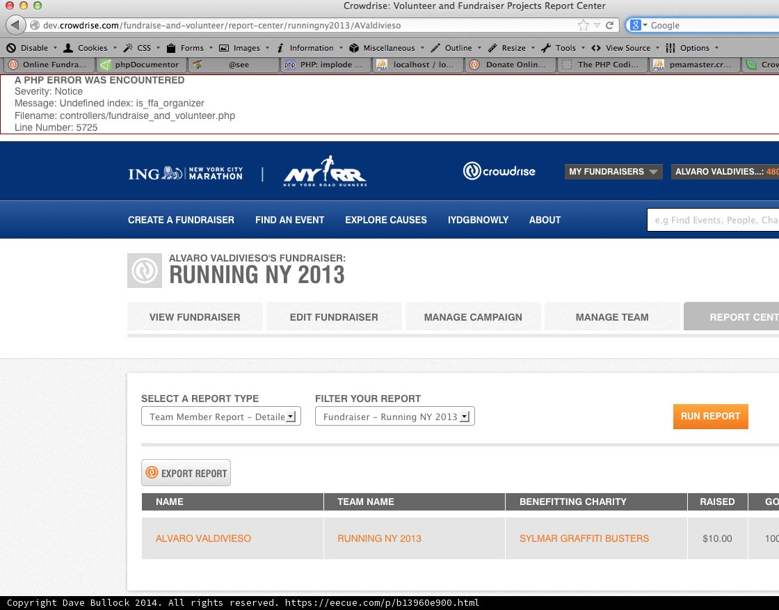 NY 2013 Website in Action
