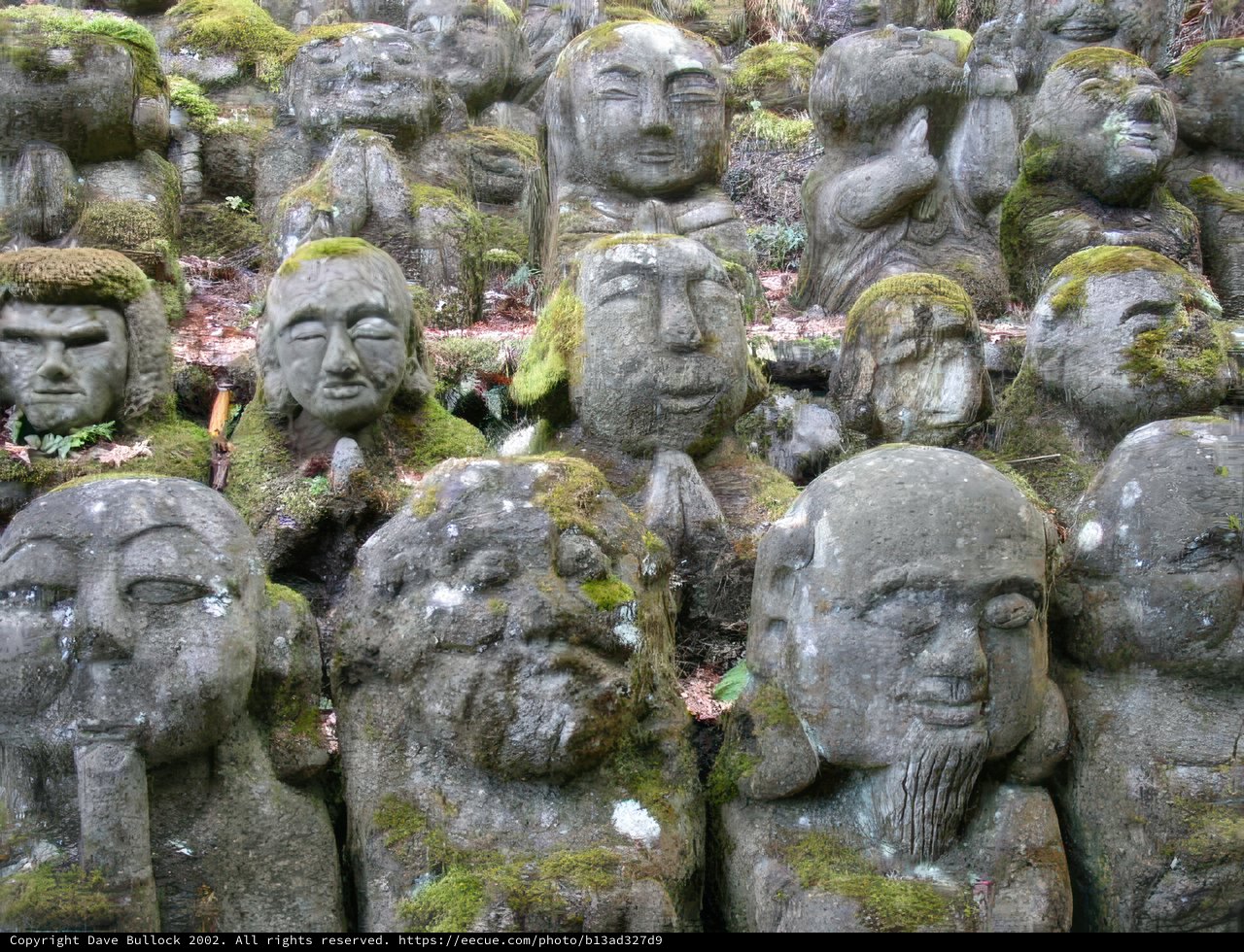 Faces of Time Covered in Moss
