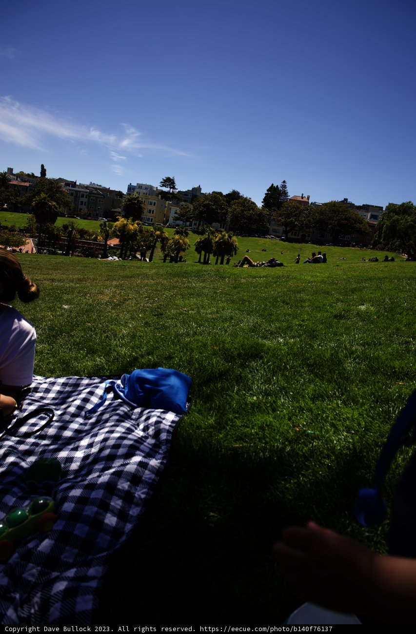 Summer Serenity in Delores Park