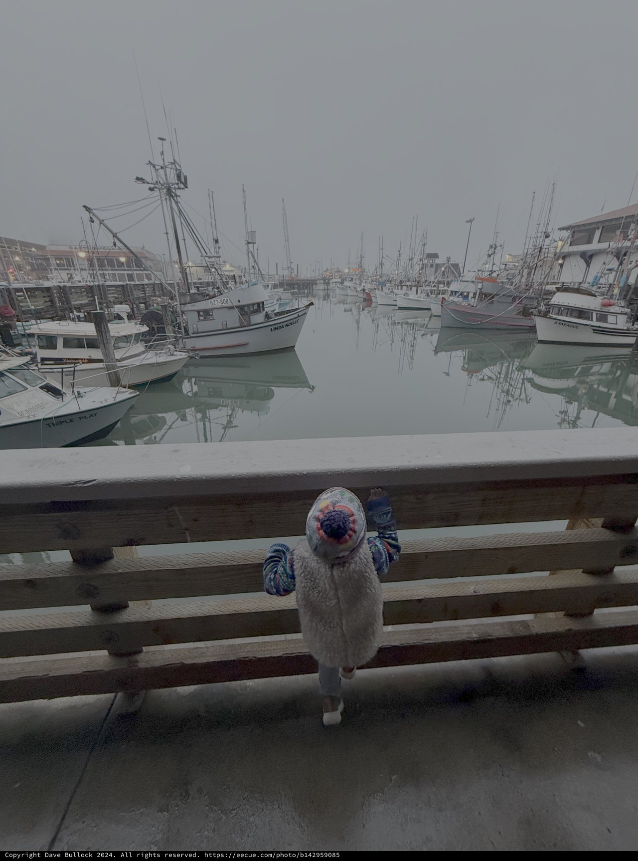 Child Watching Misty Harbor Through Fog