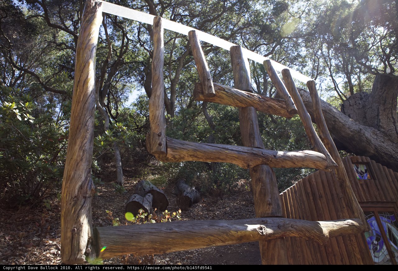 Wooden Structure with Ladder