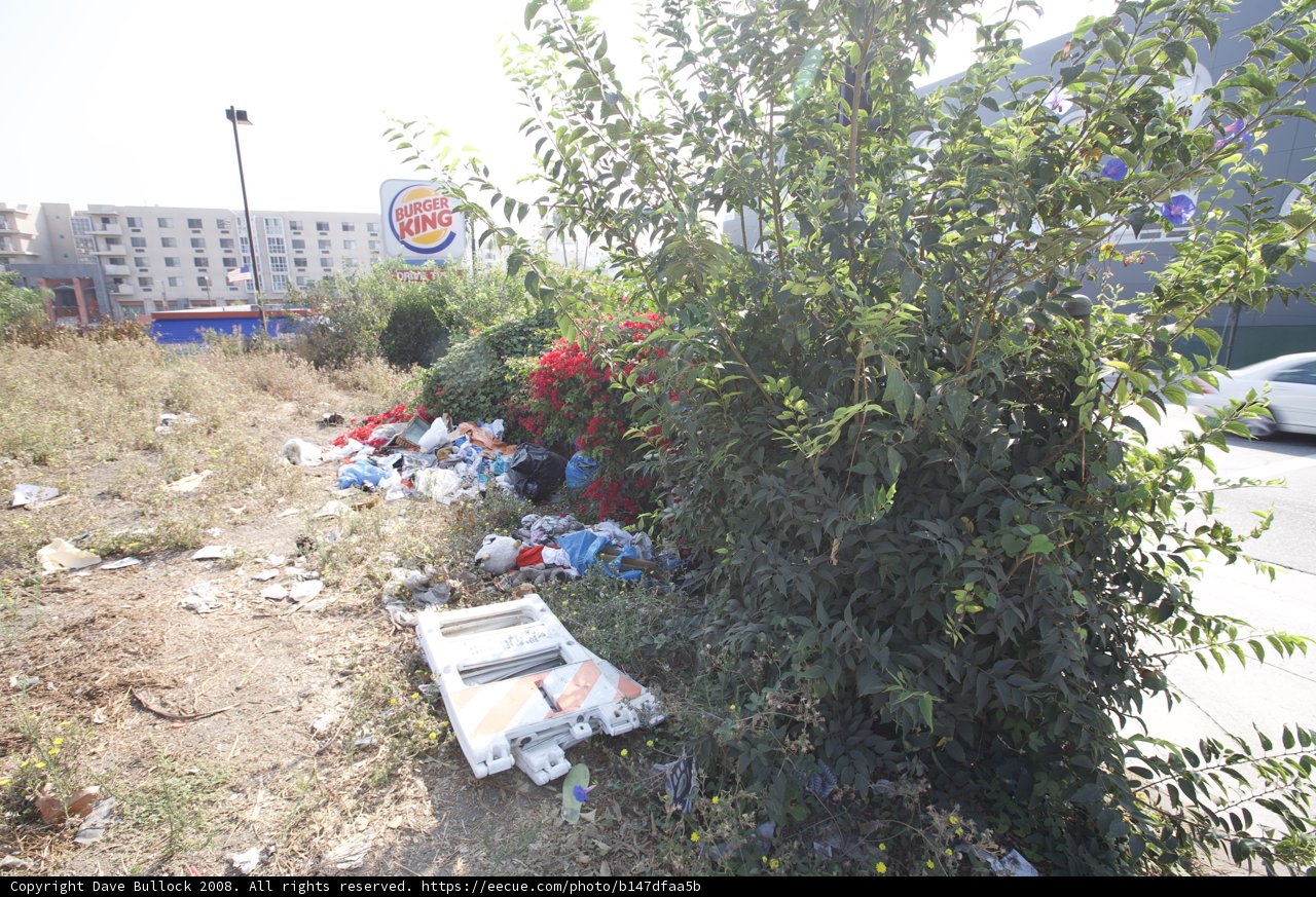 Trash Amongst Nature