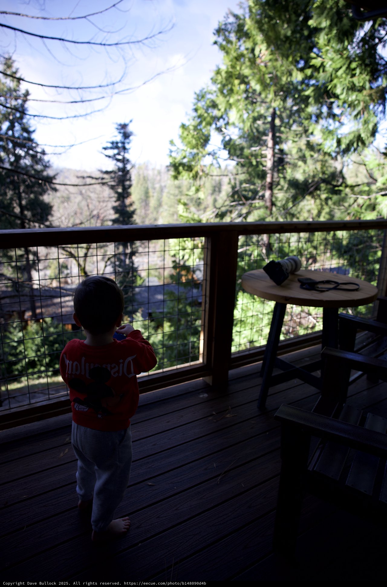 Child Gazing at Yosemite Forest from Cabin Deck