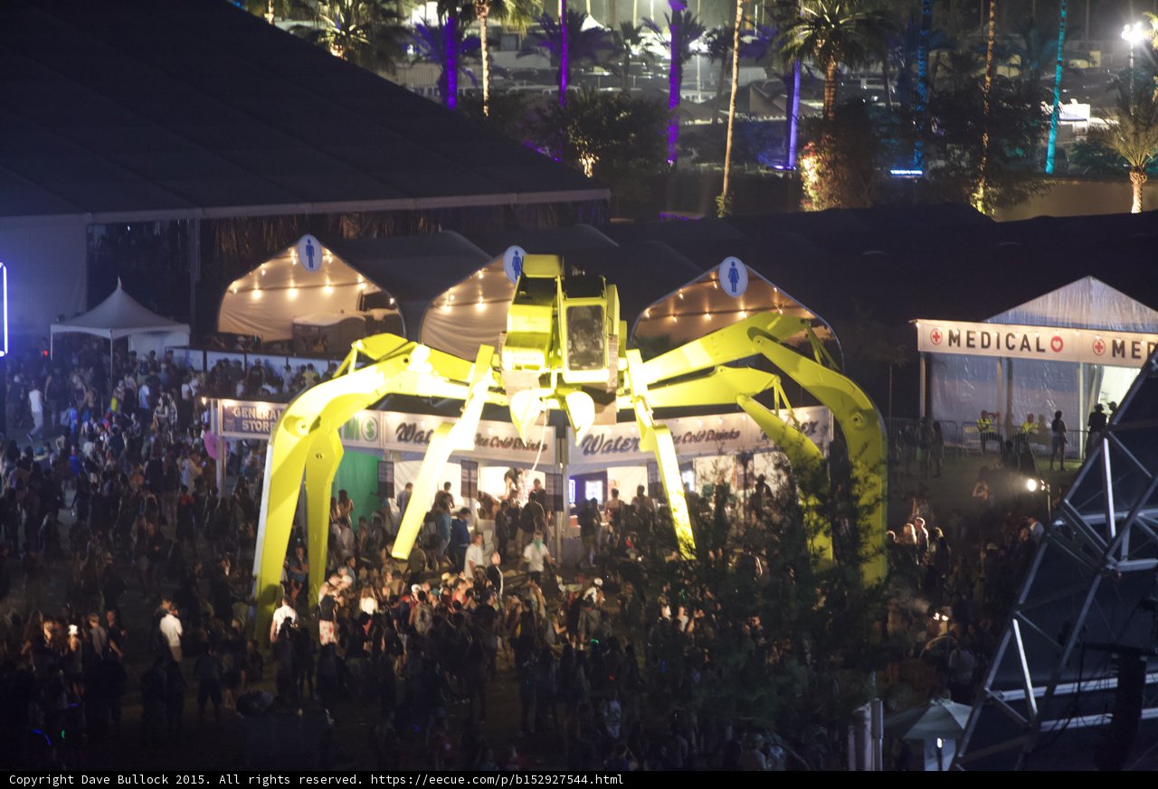 Arachnid in the Spotlight