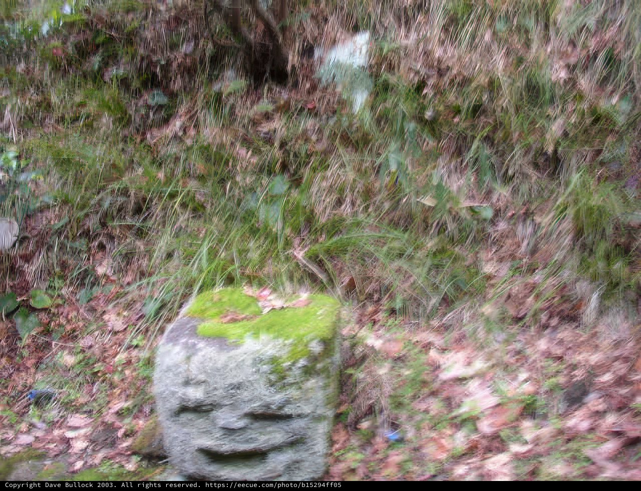 Stone Head Amidst Kyoto's Woodlands