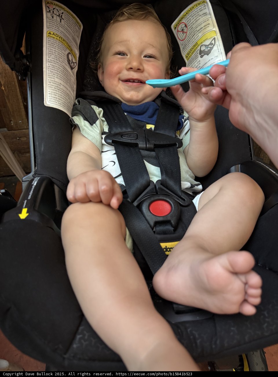 Joyful Moments on the Go