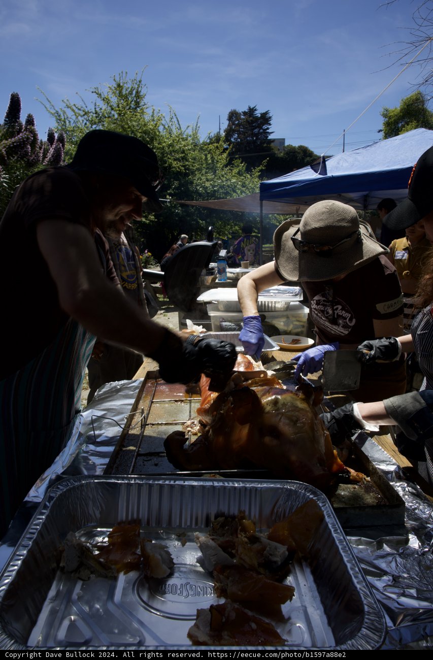 Community Feast Under the Blue Sky