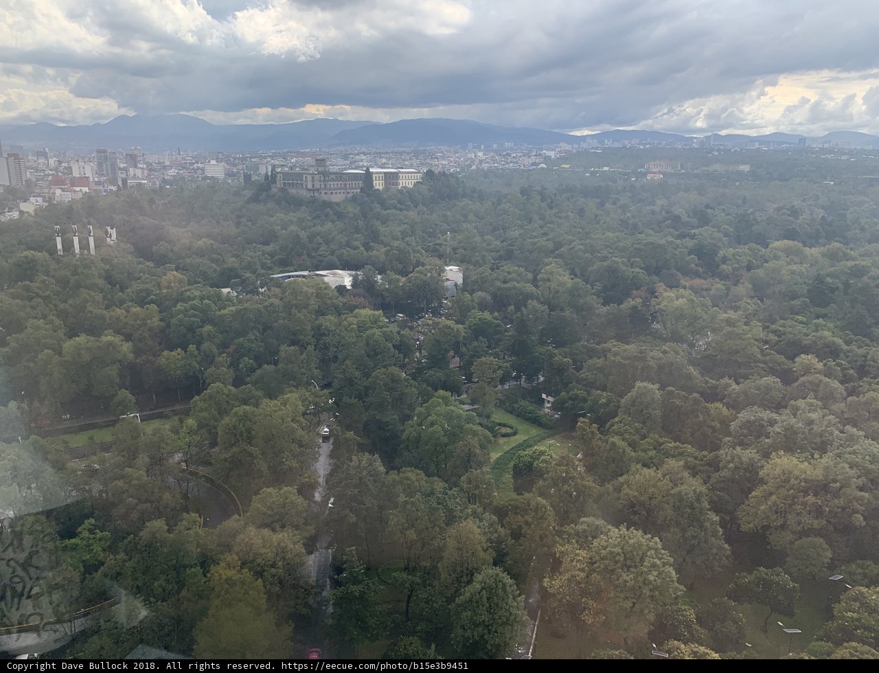 Overlooking the Urban Jungle