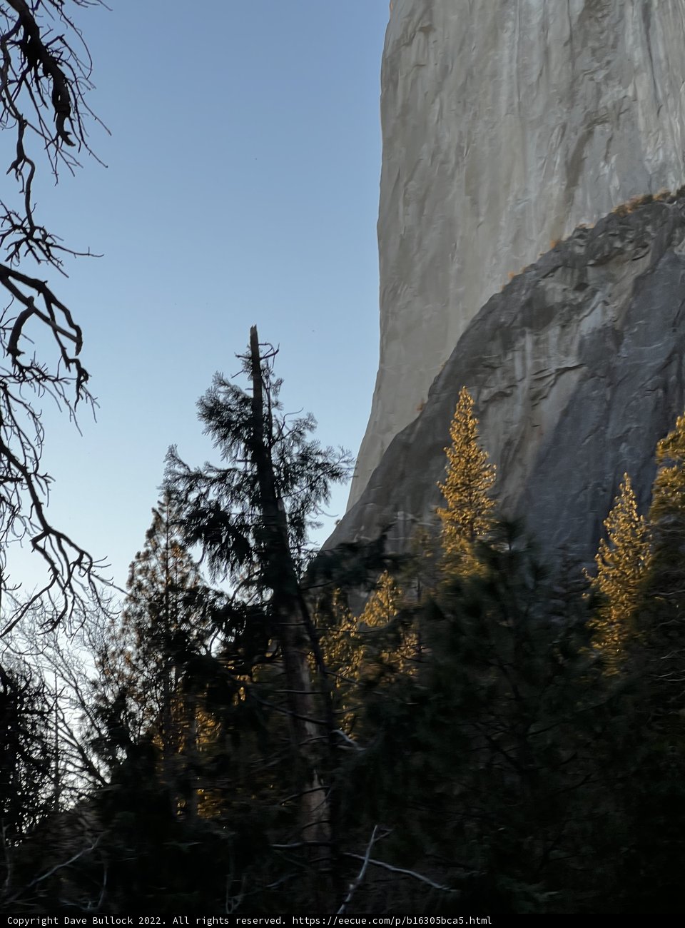 Majestic Conifer Rock at Yosemite National Park