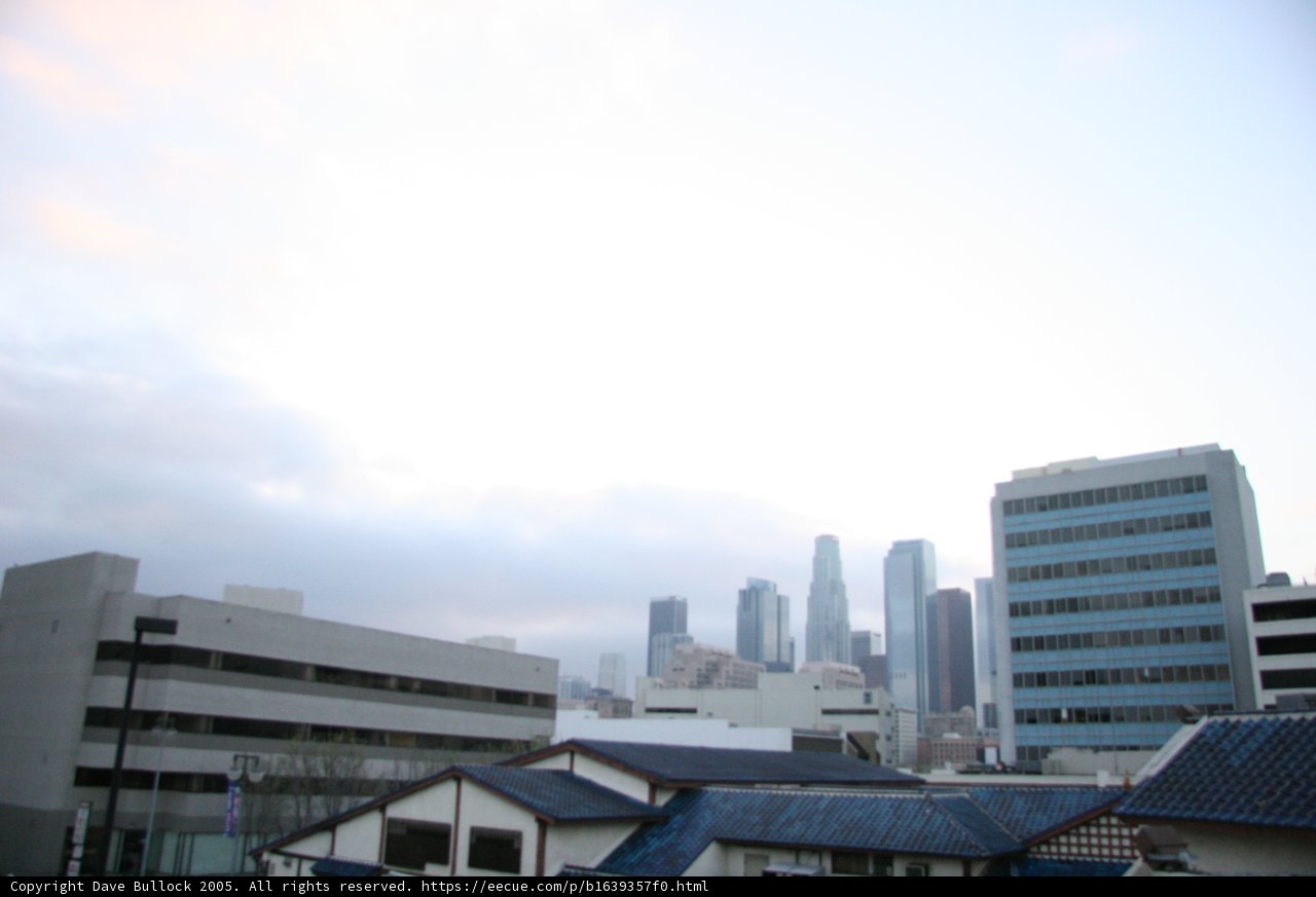 A View of Metropolis from the Rooftop
